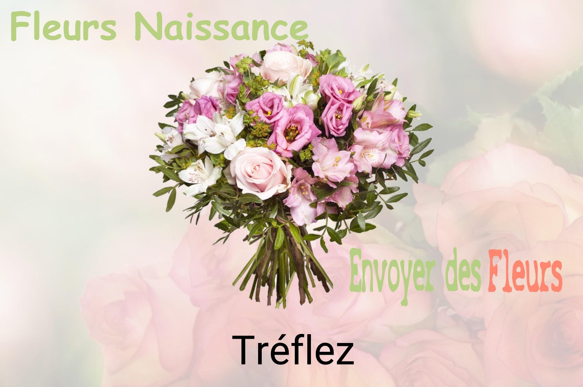 Bouquet de fleurs de naissance livré à Tréflez