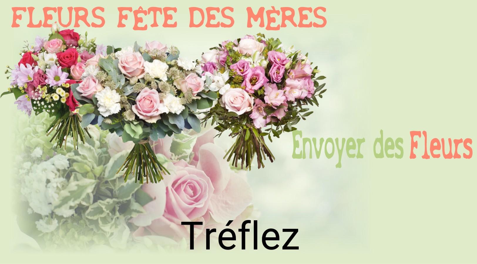 Bouquet de Fête des Mères livré à Tréflez